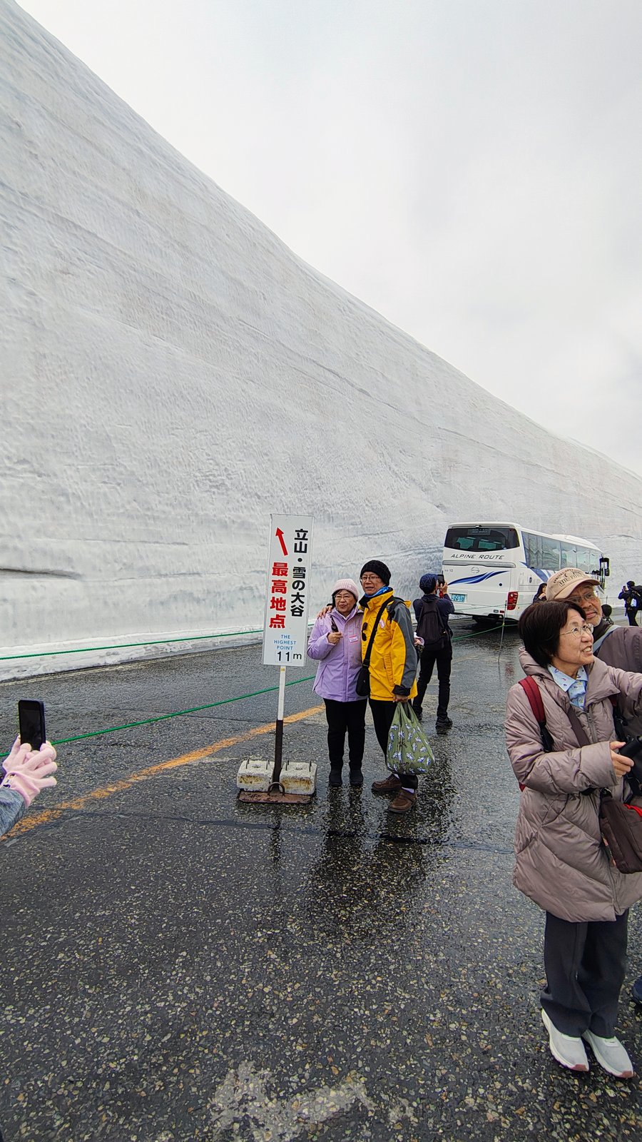 ป้าย '立山雪の大谷 最高地点 11m' — ความสูงสูงสุดของกำแพงหิมะ