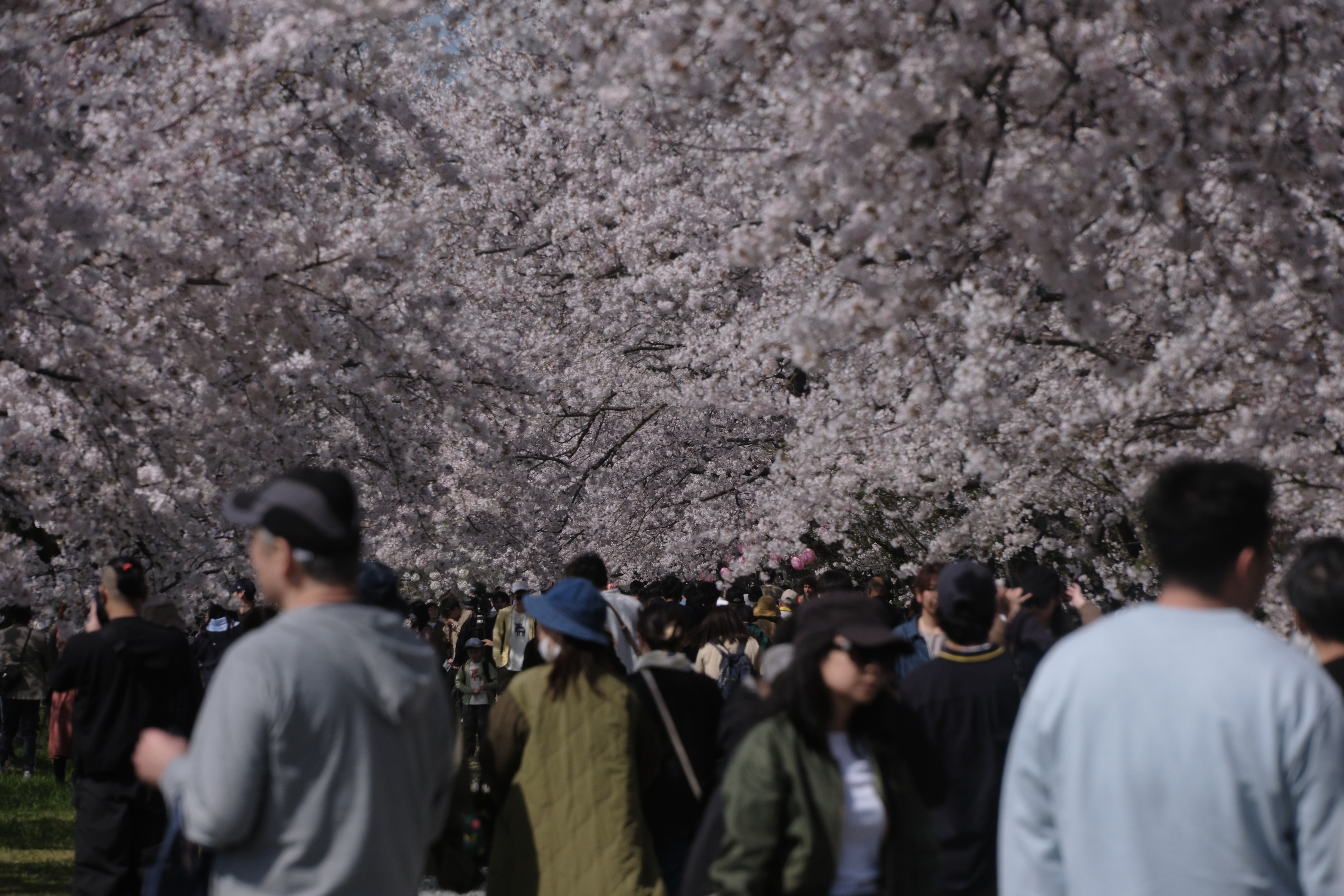 ผู้คนหนาแน่นในวันหยุดสุดสัปดาห์