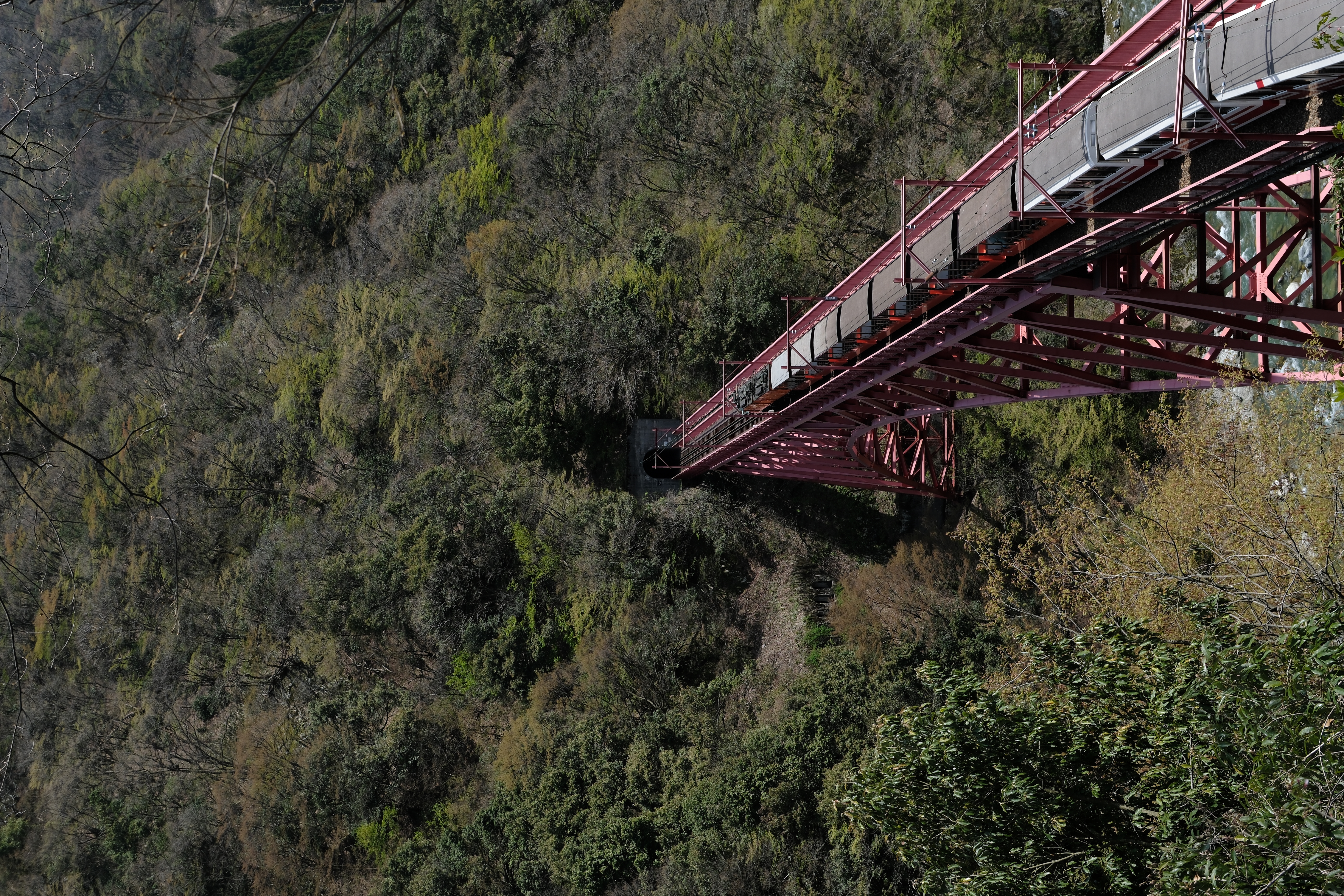 รถไฟทรอกโกข้ามสะพานแดง