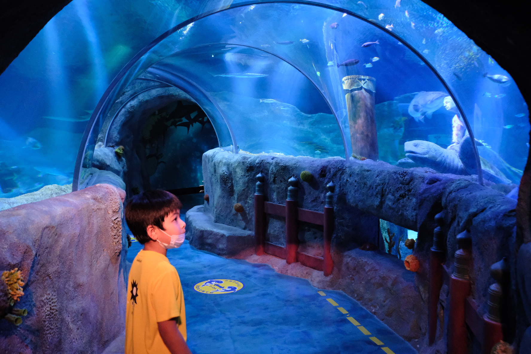 อุโมงค์แก้วที่ SEA LIFE Nagoya