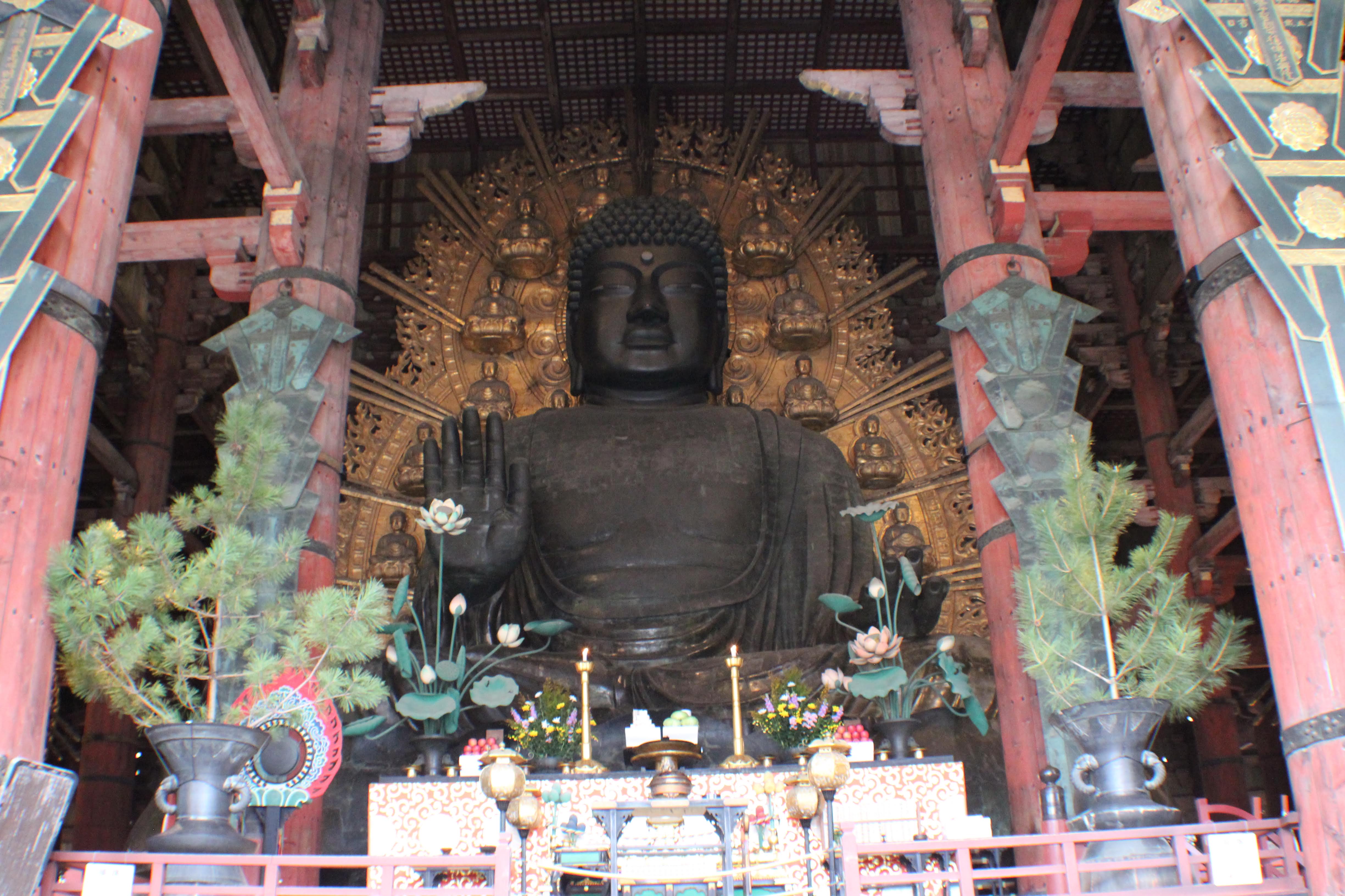 พระพักตร์หลวงพ่อโตมองจากด้านล่าง