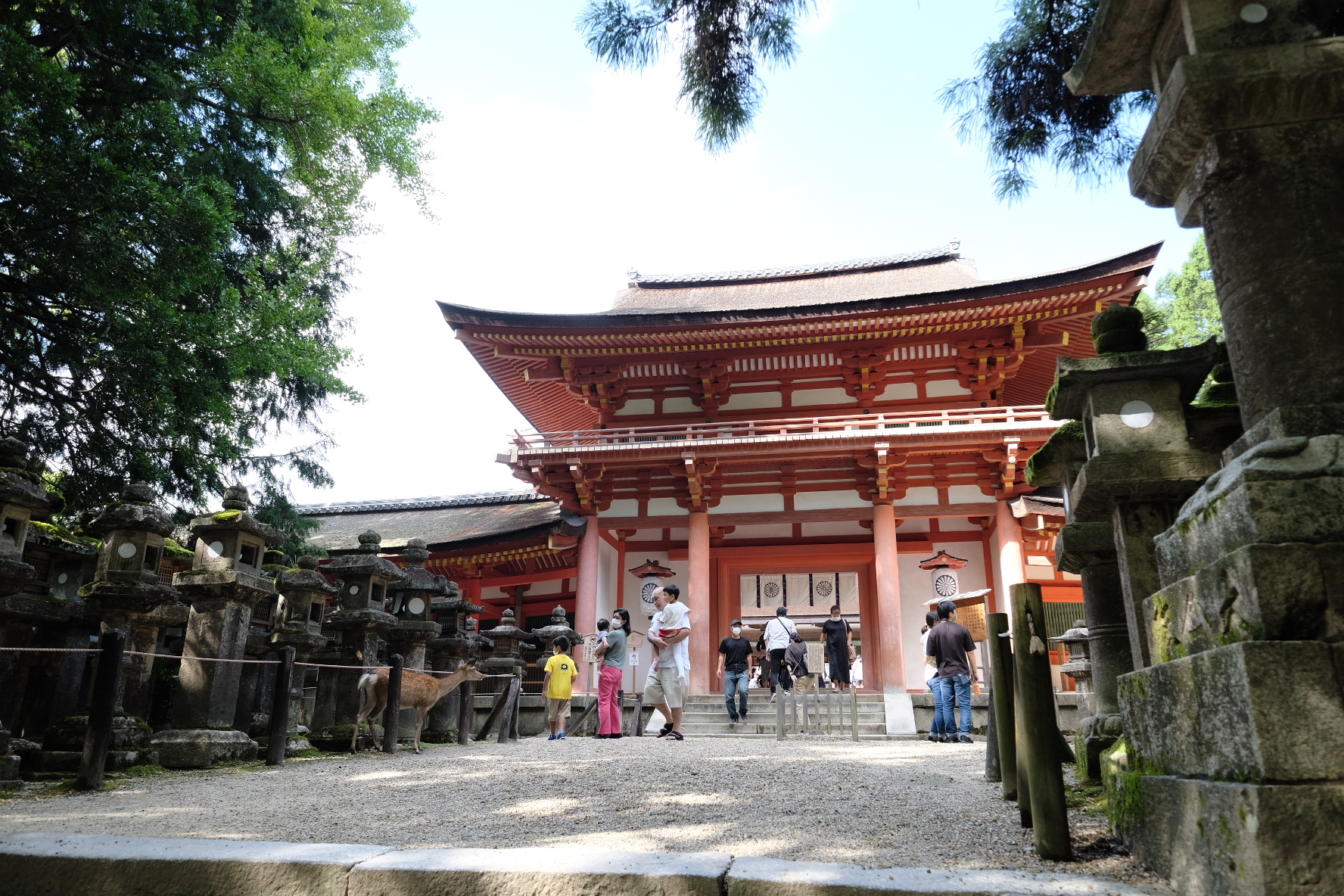 ศาลเจ้าคาสุงะไทชะ เสาโคมไฟหินเรียงราย