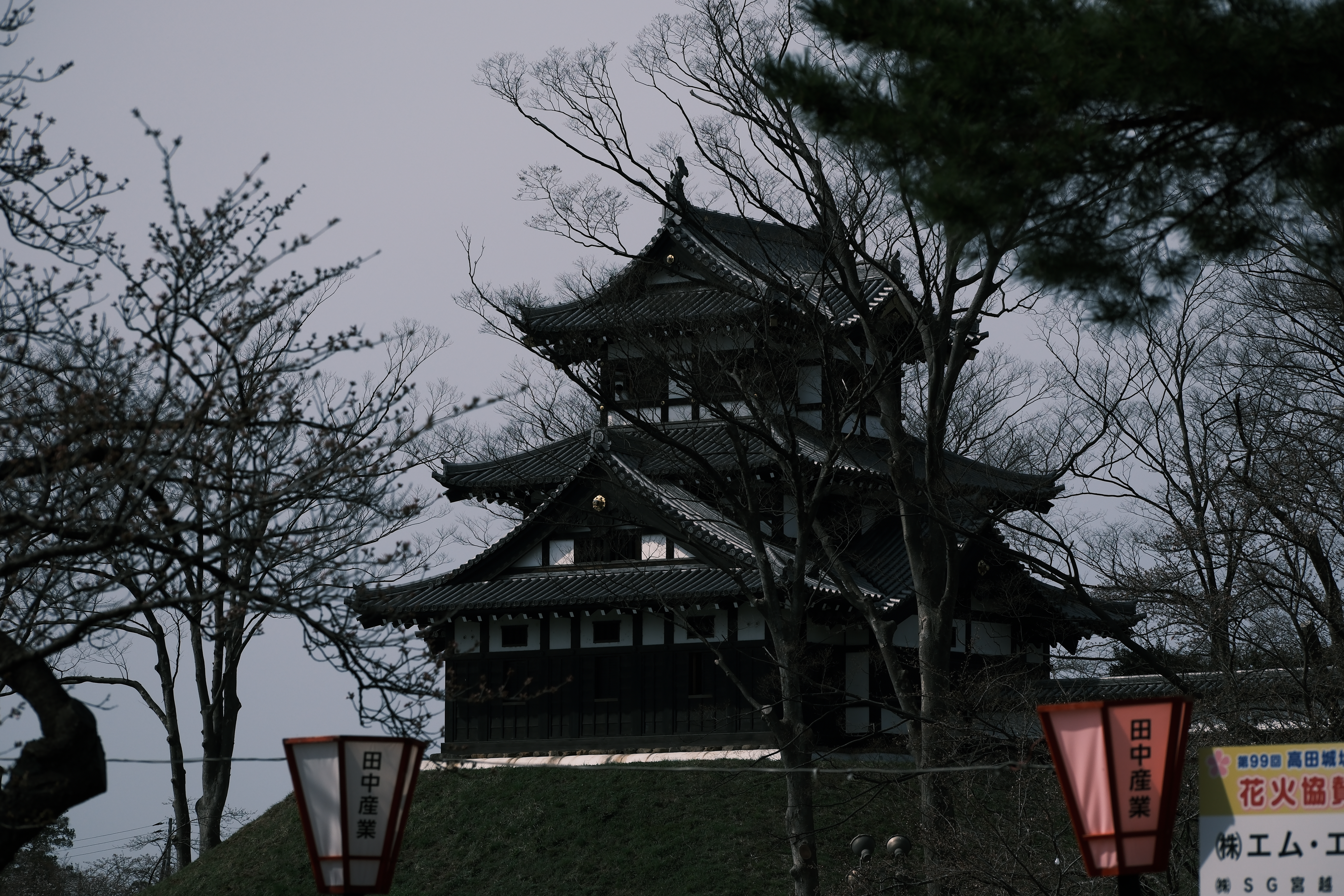 โคมไฟสีชมพูราว 3,000 ดวงส่องสว่างยามค่ำคืน