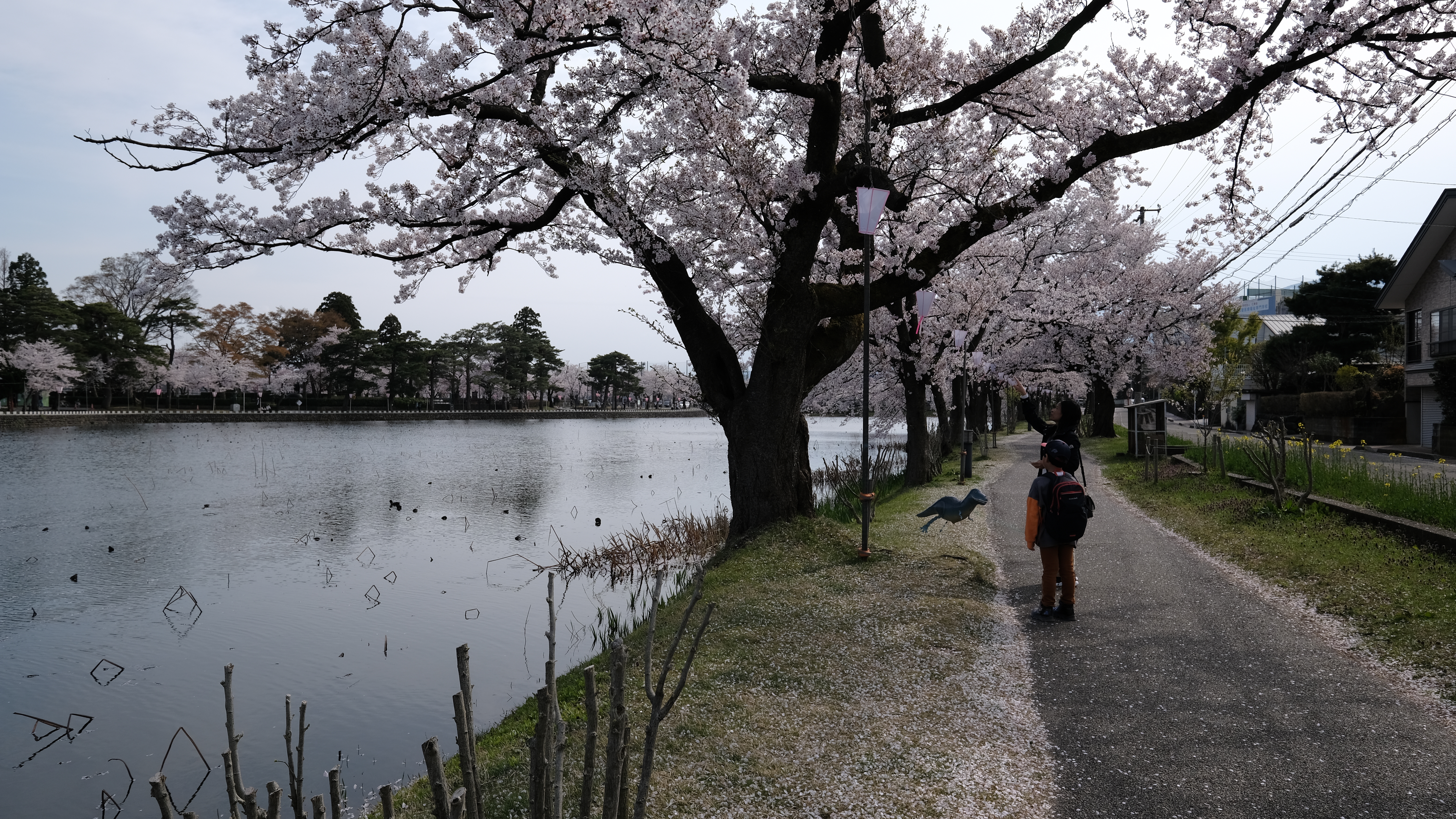 ครอบครัวเดินเล่นในสนามหญ้ากว้างของสวนทากาดะ